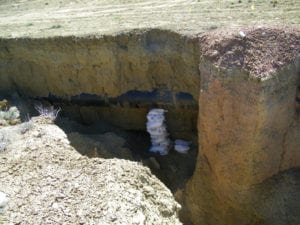 Pipeline Exposure Poses Problems in New Mexico